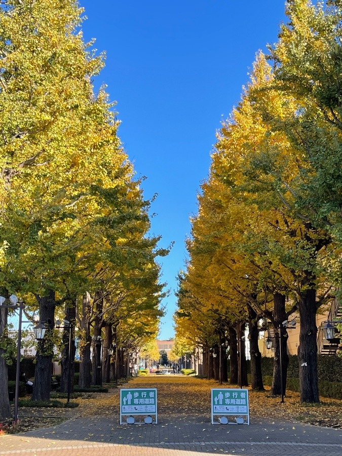 朝の風景