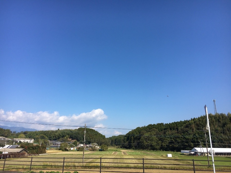 ⭕️空部→   いま空（≧∇≦）‼️225.