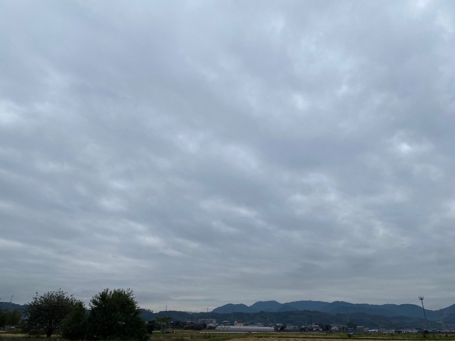 今朝の空　11/1