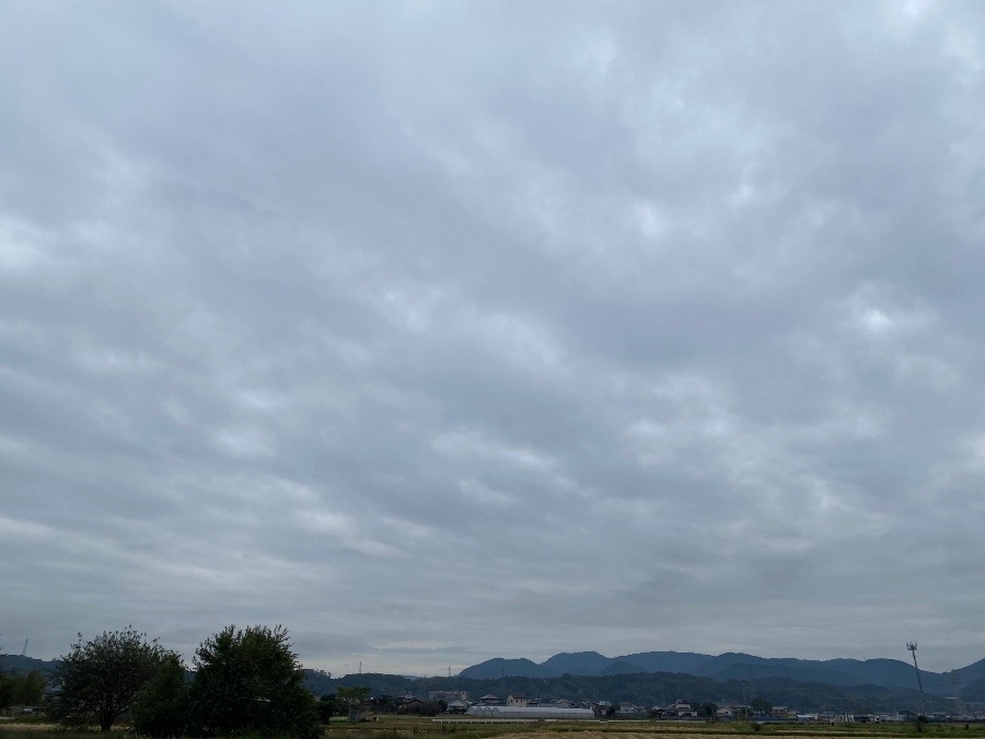 今朝の空　11/1