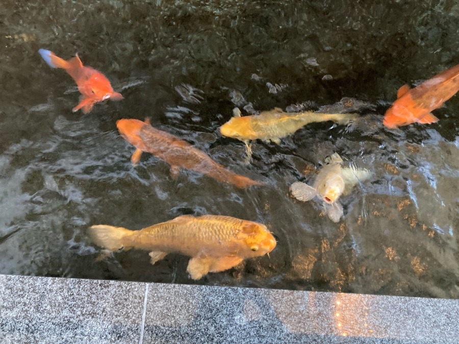 気分転換