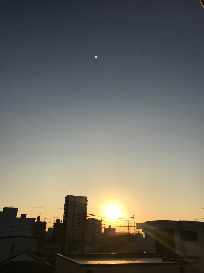 穏やかな朝〜☀️✨