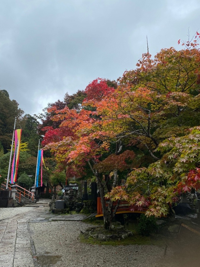 奈良、和歌山ミステリーツアー⑥