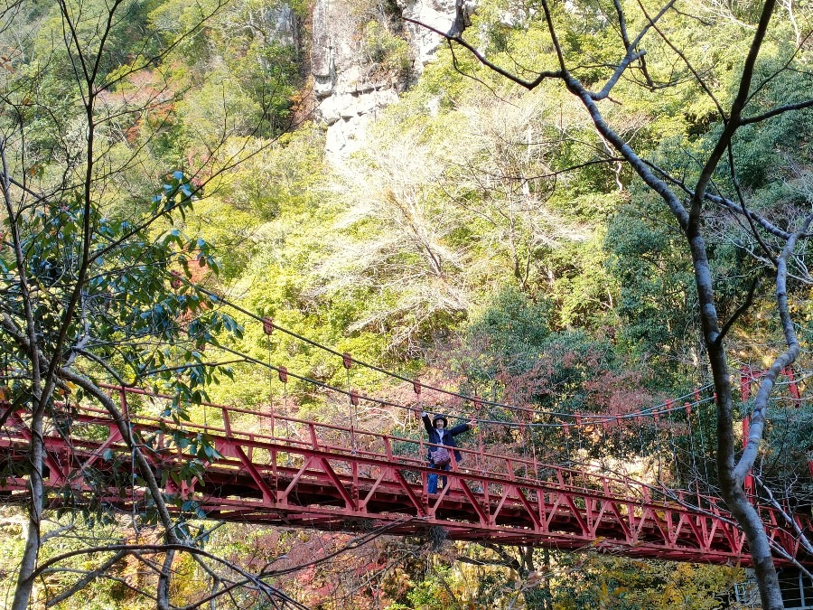 長門峡の紅葉橋です