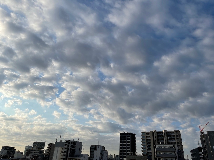 11月9日 8：43今空