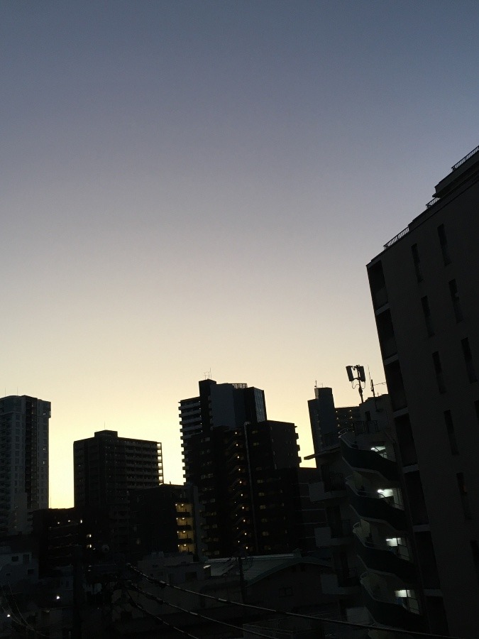 11/19 朝空