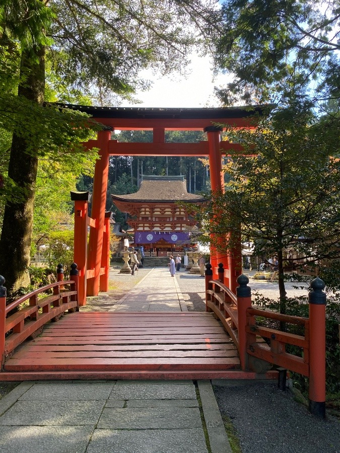 奈良、和歌山ミステリーツアー　③