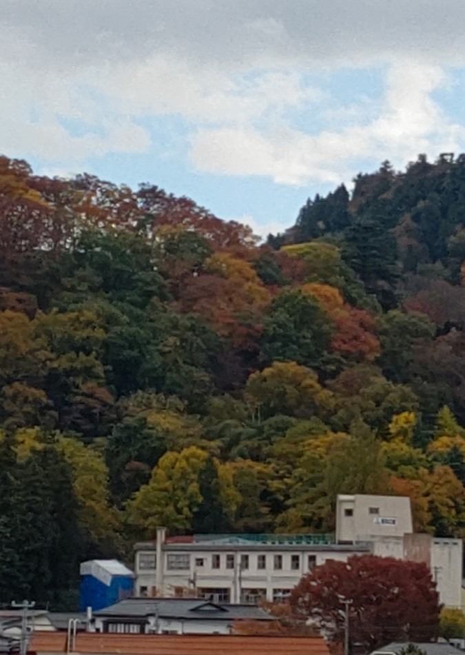 舞鶴山も紅葉🍁