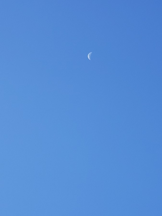 今日の空－11月18日