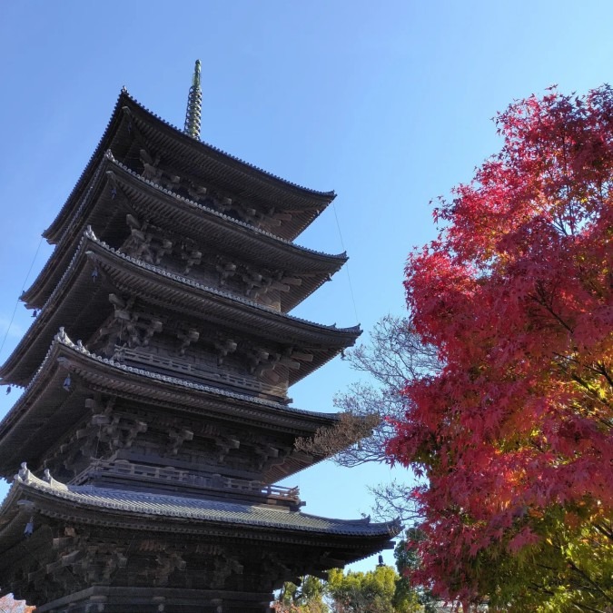 京都東大寺五重塔