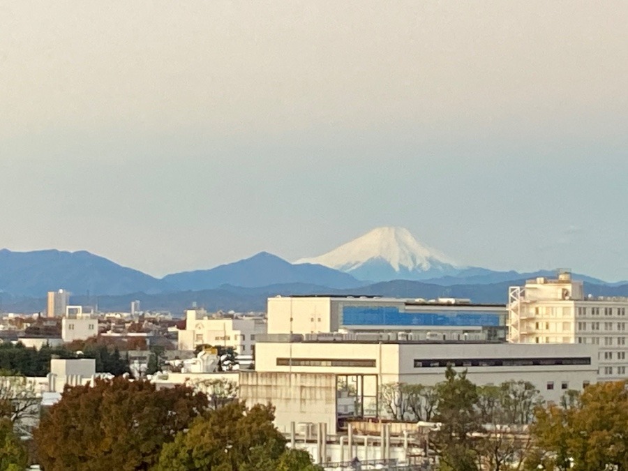 今朝の富士山