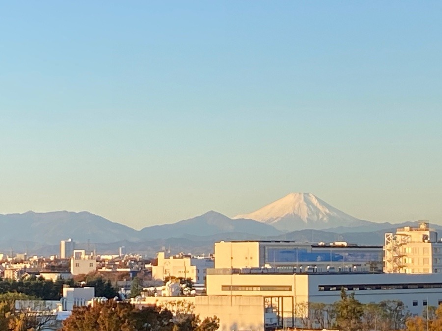 今朝の富士山