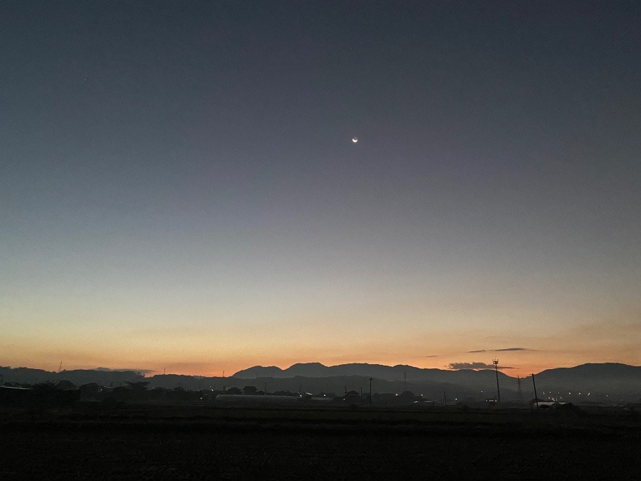 今朝の空　11/21