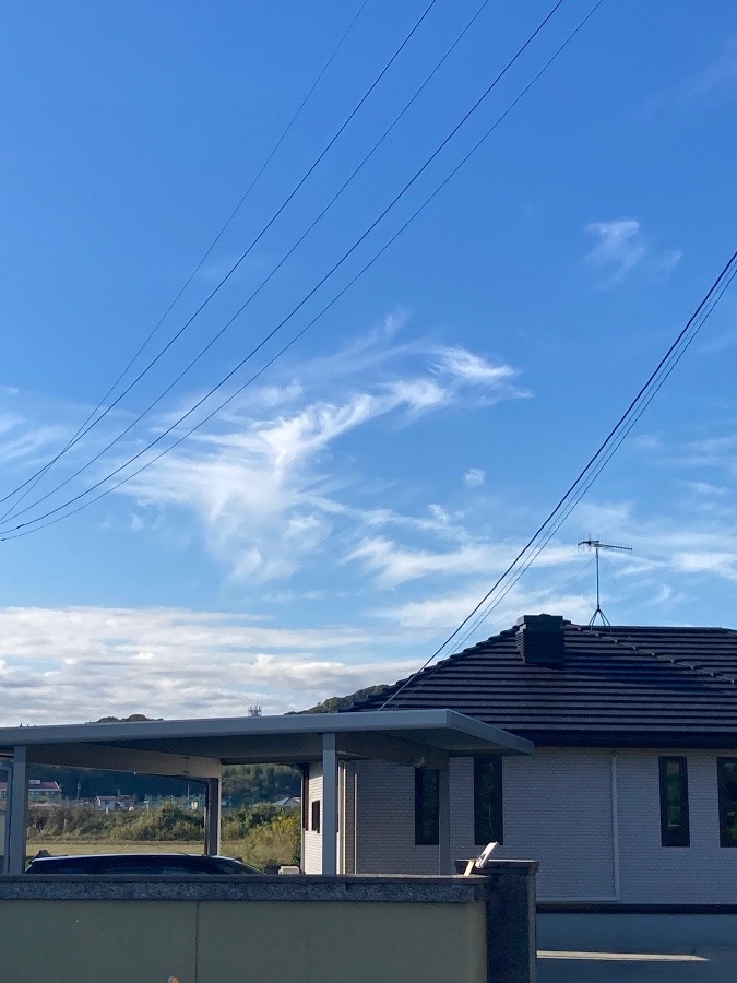 昨日の雲❣️鳳凰に見えた‼️