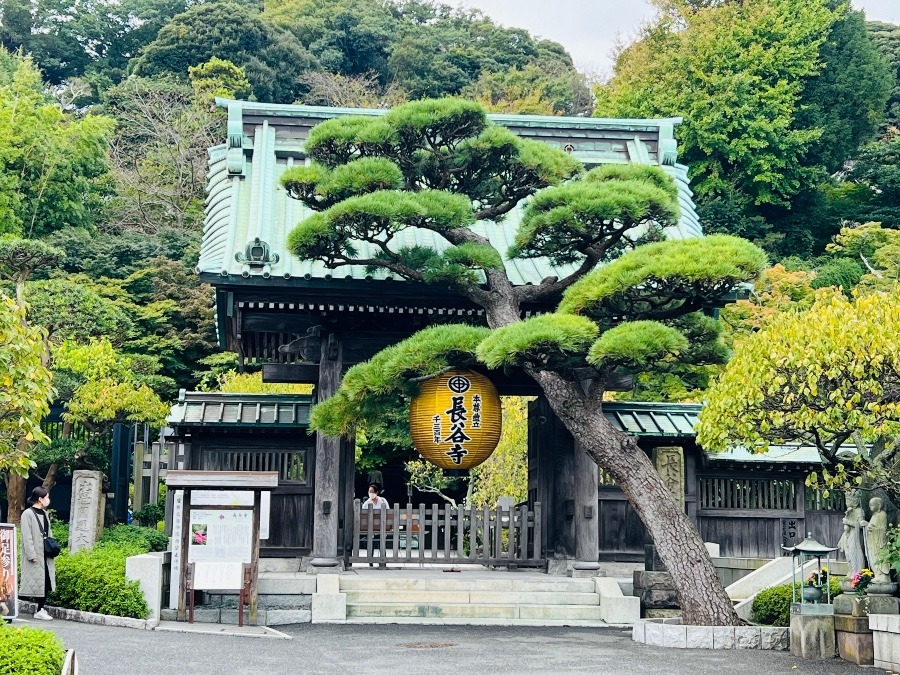 長谷寺1300年祭✨