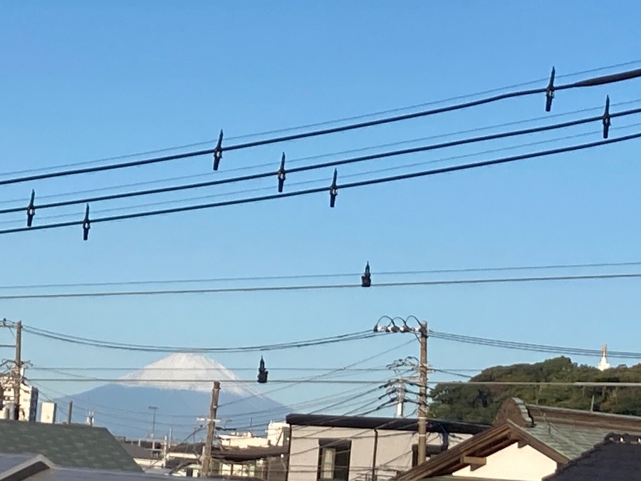 富士山✨