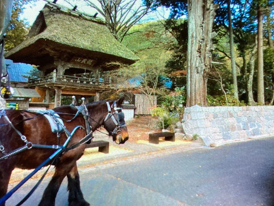 辻馬車⑦