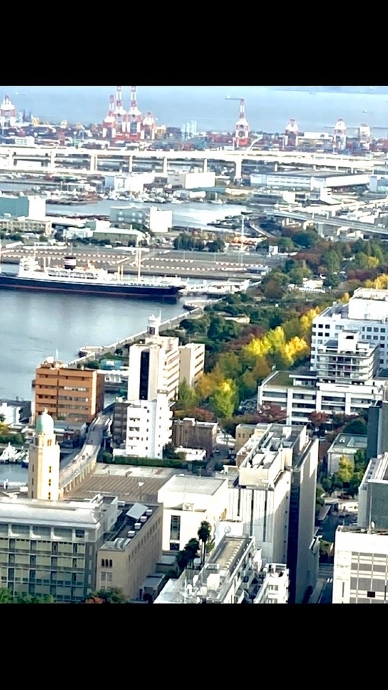 横浜・山下公園  紅葉