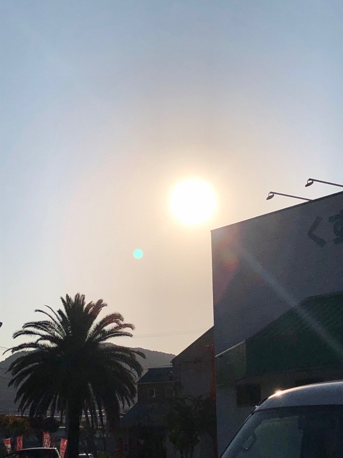 今朝の太陽