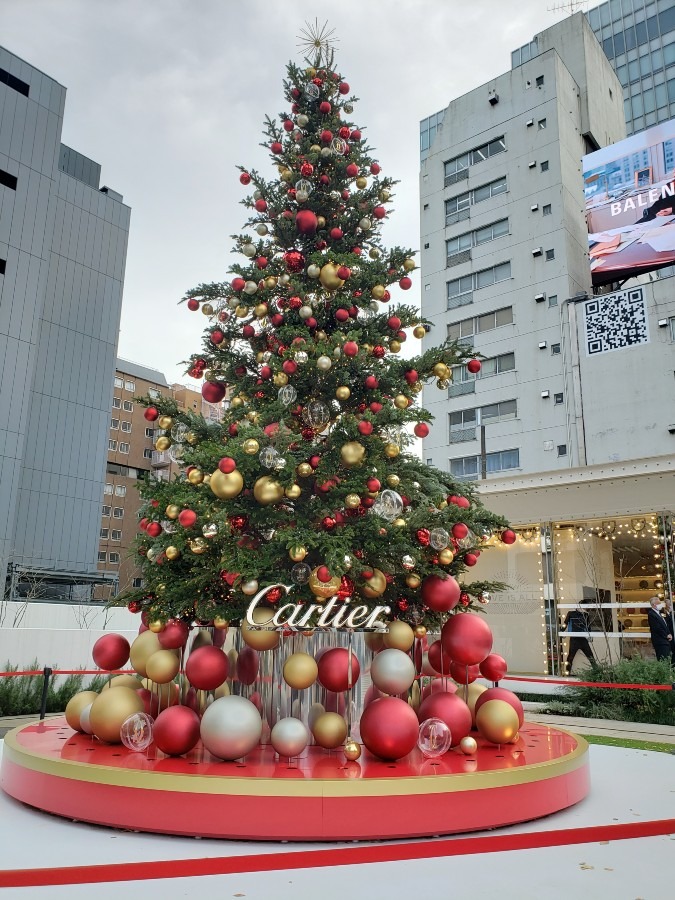 表参道の交差点♪のクリスマスツリー2022