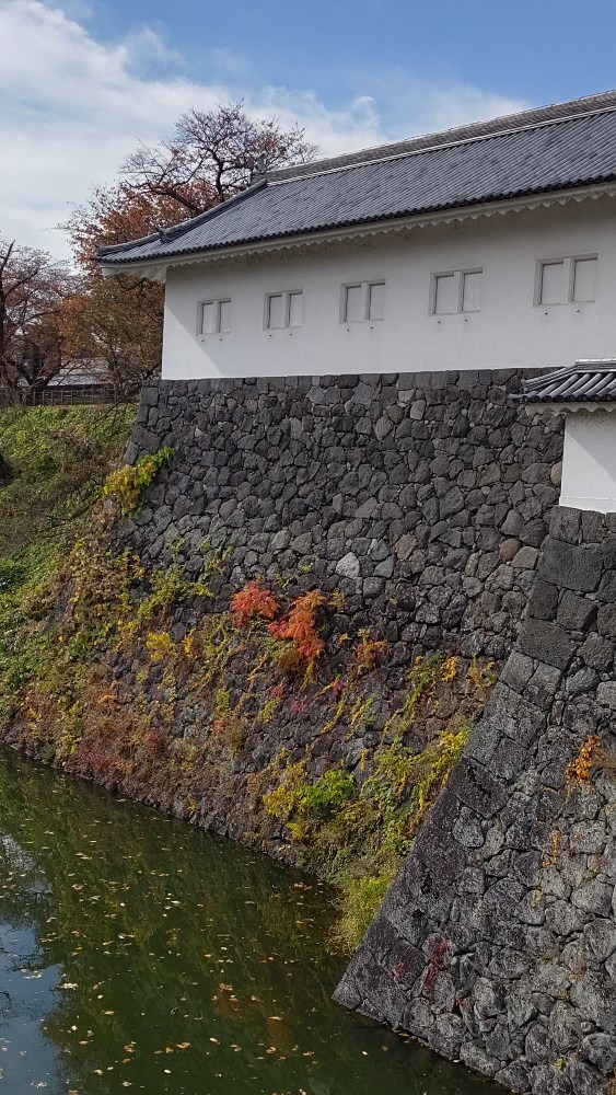 お堀の秋🍁🍁