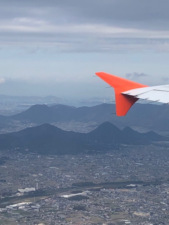 飛行機から