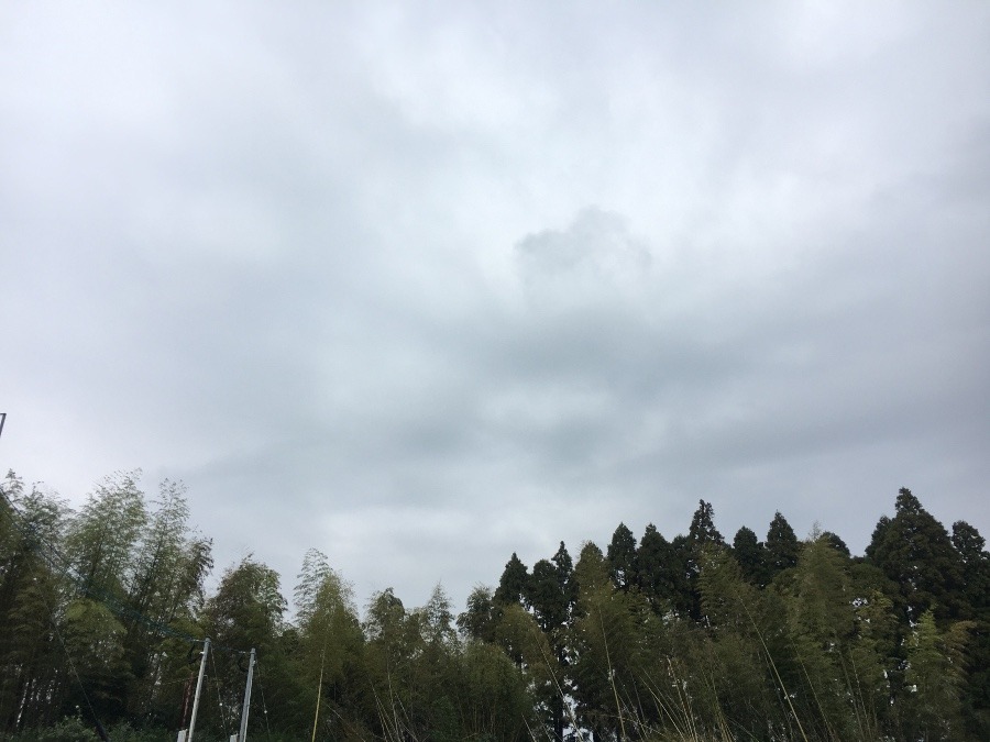 ⭕️空部→   今日の空（≧∇≦）‼️267.