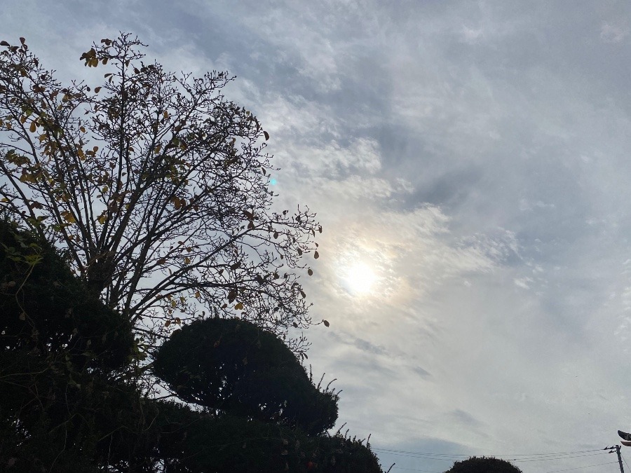 今の空11.26