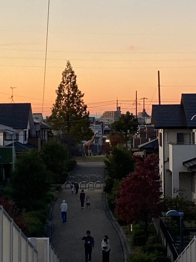 夕方の風景✨