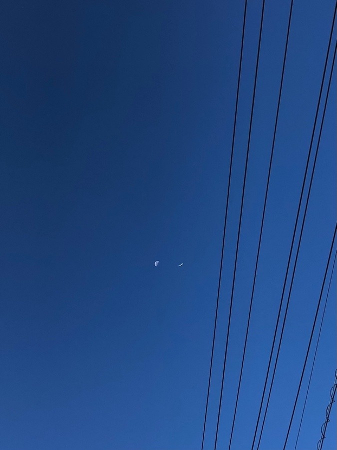 ✈️🌓朝の挨拶