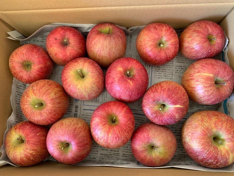 頂き物🍎