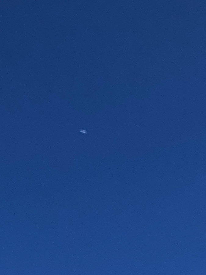 飛行機が。