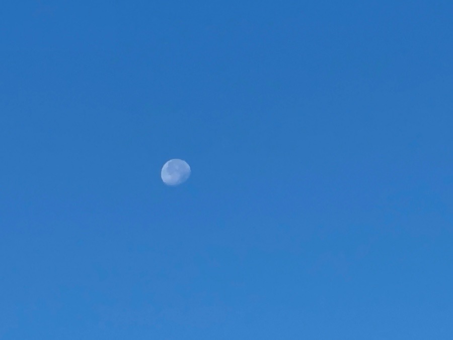 ぽっかり浮かぶ白い月