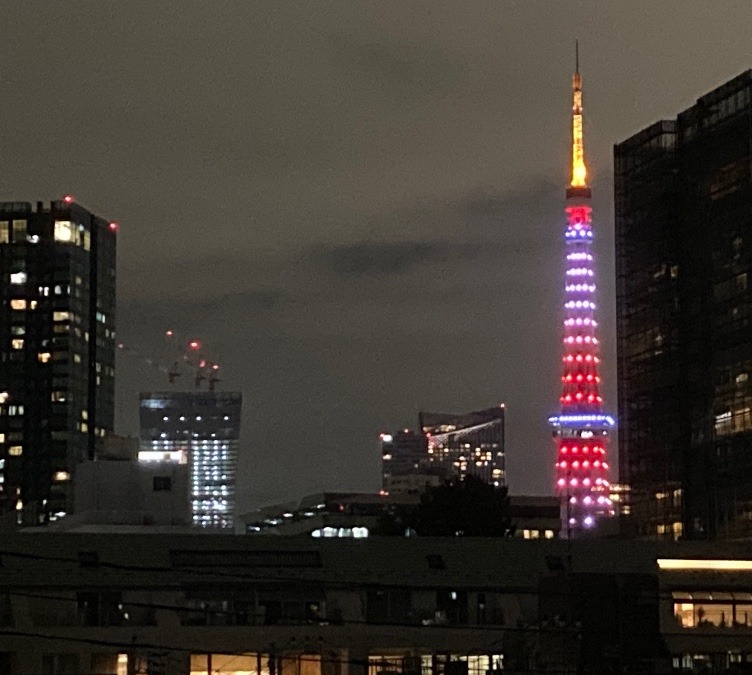 今日の東京タワー🗼