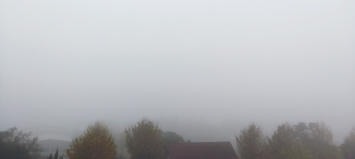 都城市（2022/11/21）今朝は霧😓↘️（西の空）