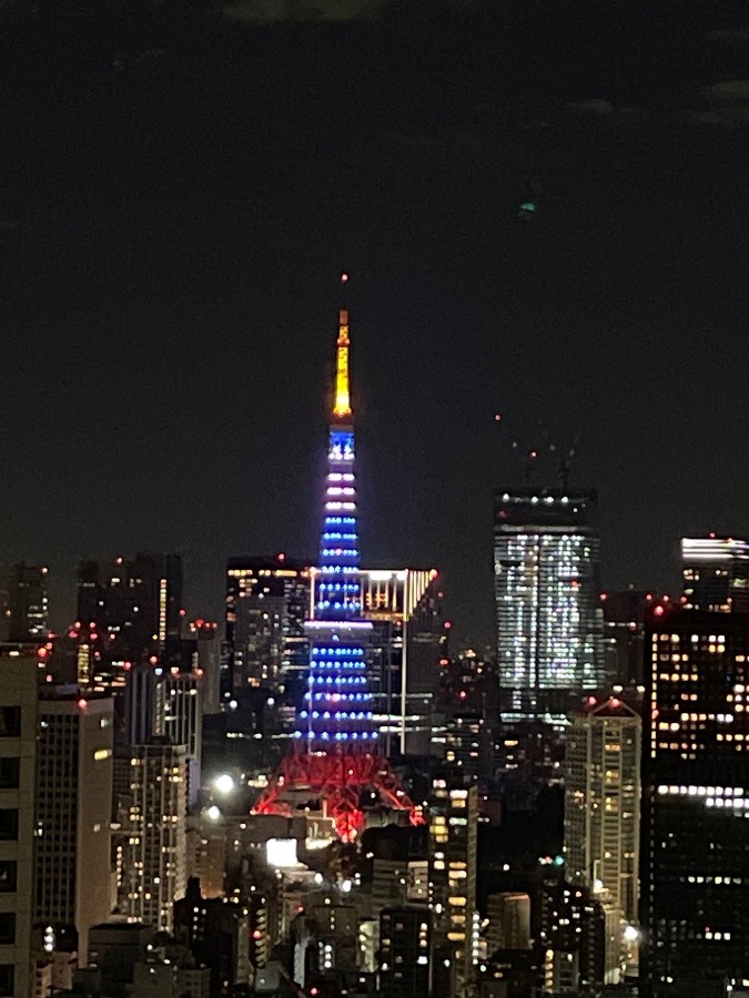 サムライブルーの東京タワー
