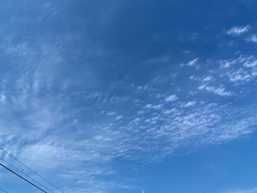 今日の朝空✨