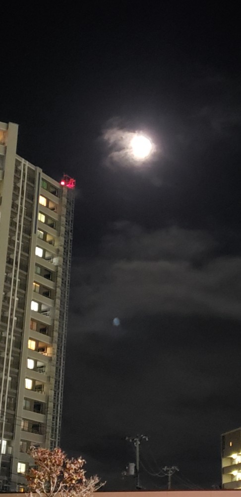 明後日は皆既月食🌕