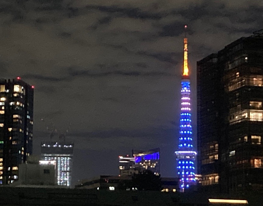 今日の東京タワー🗼