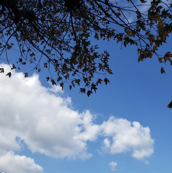 今日の空－11月15日