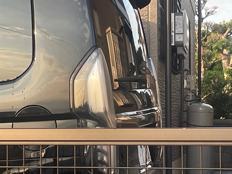 どこにいるかわかります？