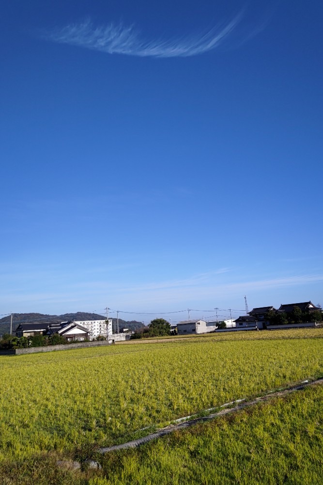 朝空!