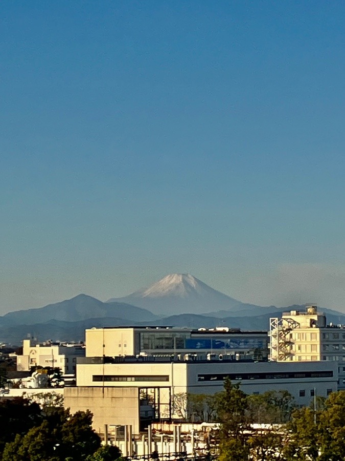 今朝の富士山