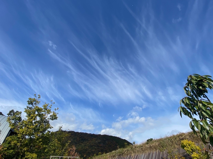 今空