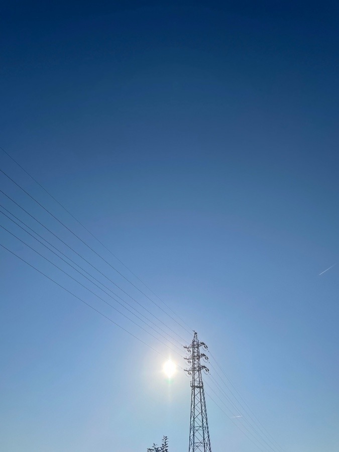 今日の岡崎