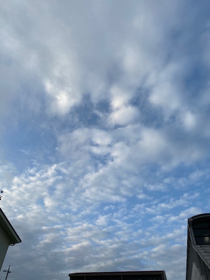 今朝の空11.29