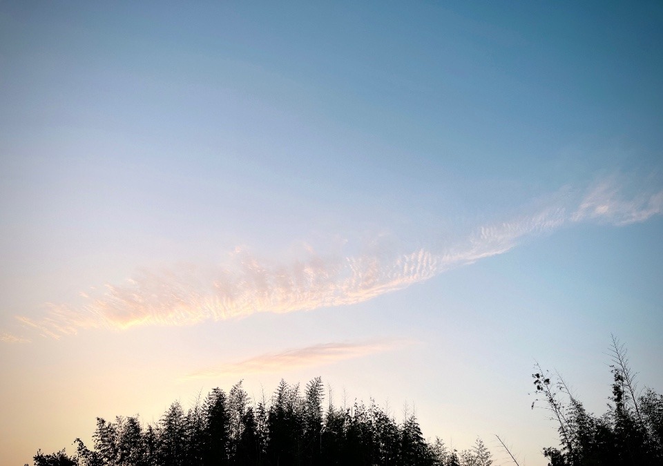 【朝の空】