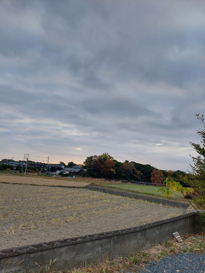 11/20朝空