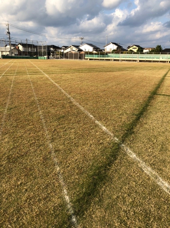 驚きました！