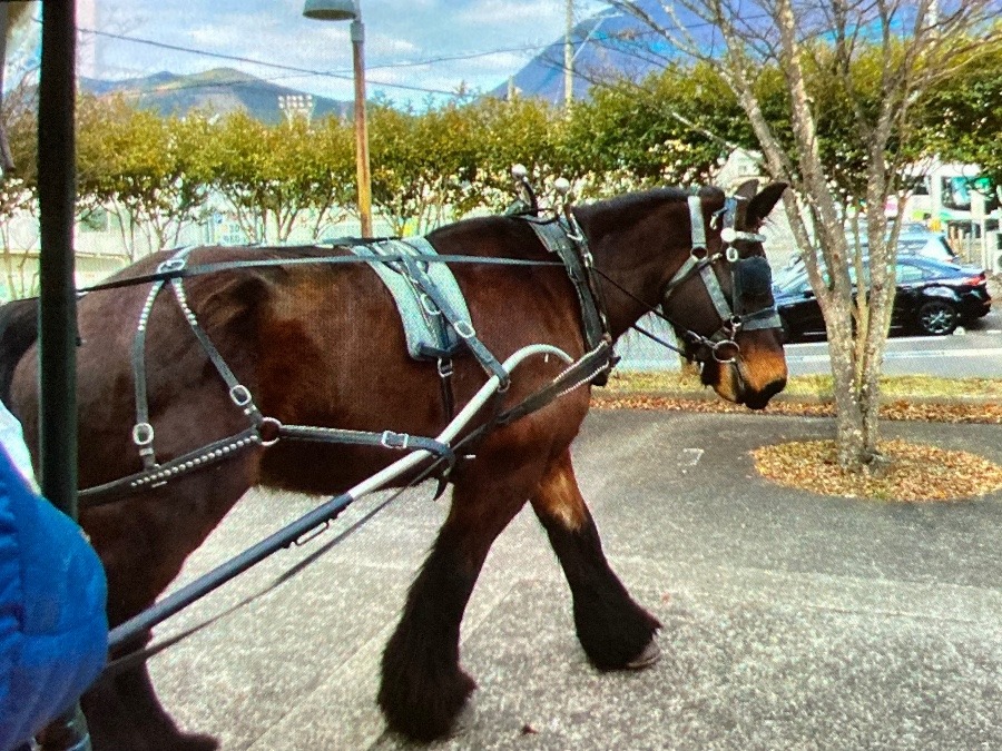 辻馬車⑤